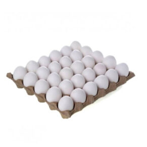 بيض ابيض اورجانيك