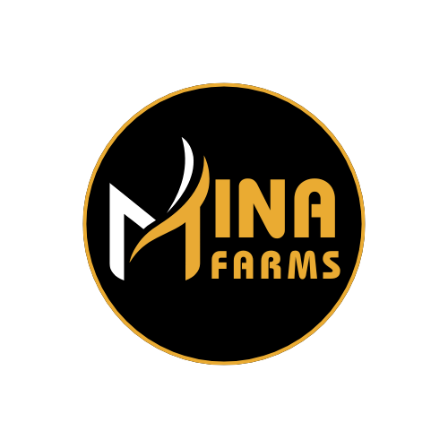 Mina Farm Gold Logo